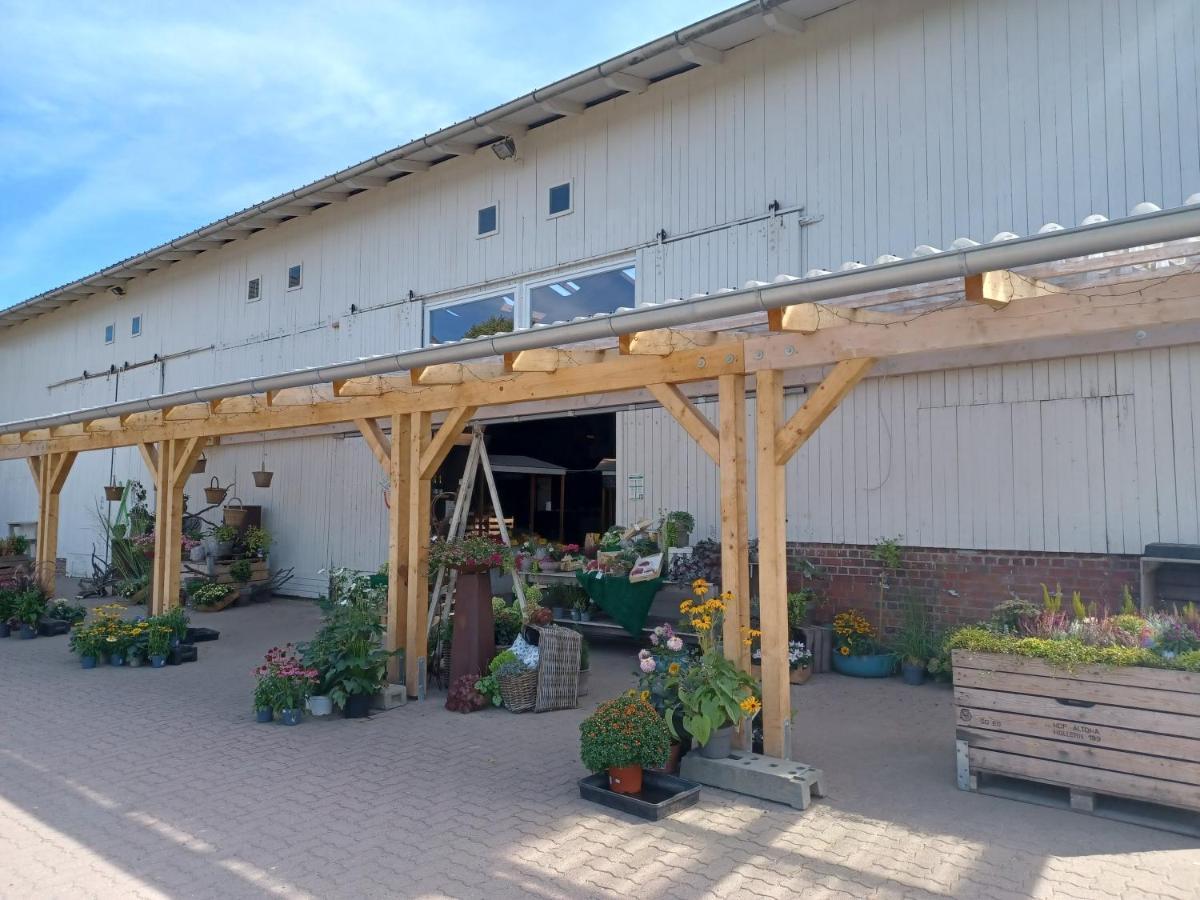 Ferienwohnung Am Elbstrom Stade Exteriér fotografie